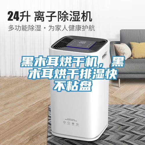 黑木耳烘干機，黑木耳烘干排濕快不粘盤