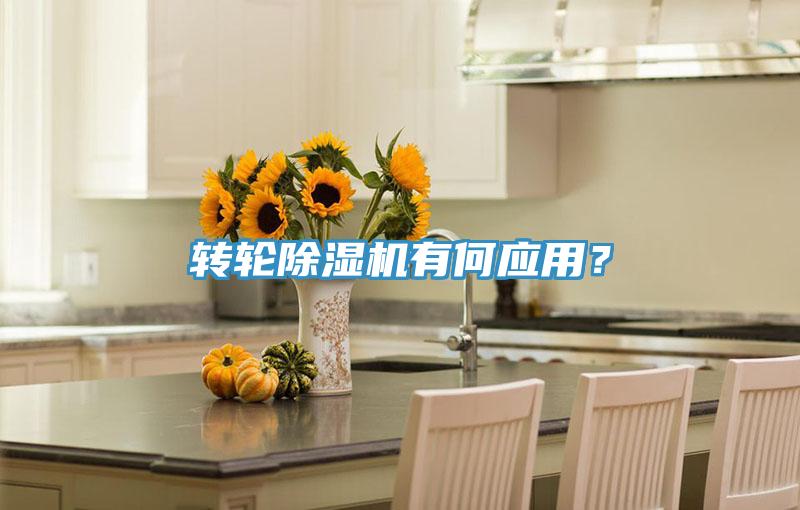 轉(zhuǎn)輪除濕機(jī)有何應(yīng)用？