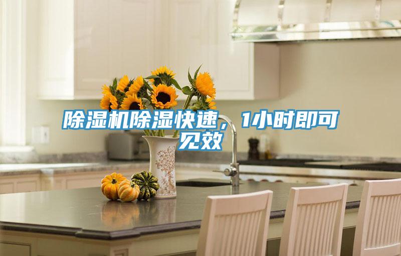 除濕機(jī)除濕快速，1小時即可見效