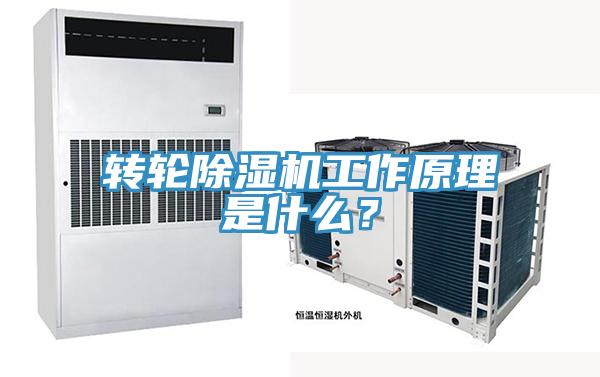 轉輪除濕機工作原理是什么？