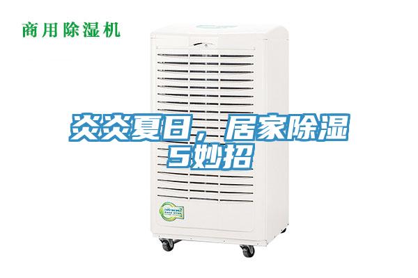 炎炎夏日，居家除濕5妙招