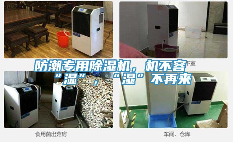 防潮專用除濕機(jī)，機(jī)不容“濕”，“濕”不再來