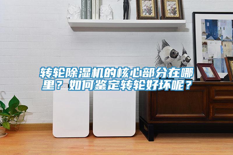 轉輪除濕機的核心部分在哪里？如何鑒定轉輪好壞呢？