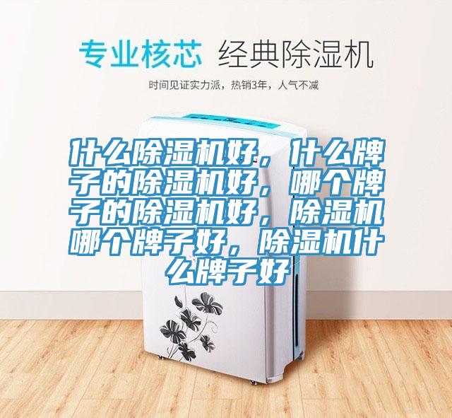 什么除濕機好，什么牌子的除濕機好，哪個牌子的除濕機好，除濕機哪個牌子好，除濕機什么牌子好