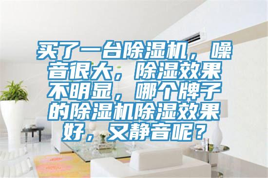 買了一臺除濕機，噪音很大，除濕效果不明顯，哪個牌子的除濕機除濕效果好，又靜音呢？