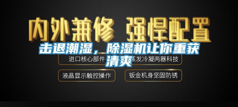 擊退潮濕，除濕機讓你重獲清爽