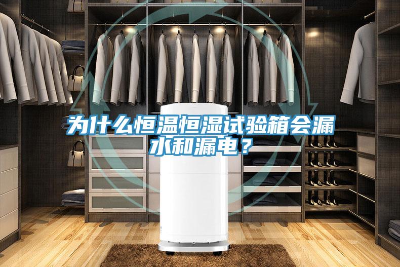 為什么恒溫恒濕試驗箱會漏水和漏電？
