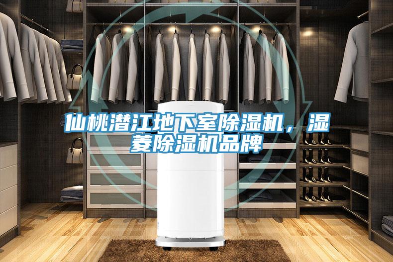 仙桃潛江地下室除濕機，濕菱除濕機品牌