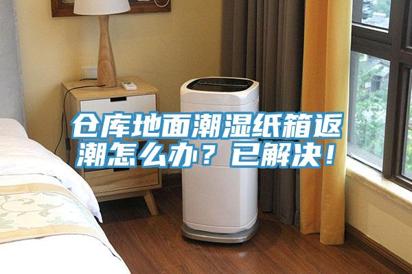 倉庫地面潮濕紙箱返潮怎么辦？已解決！