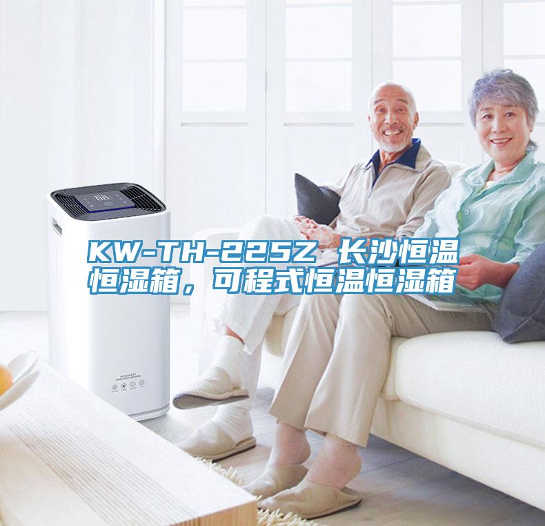 KW-TH-225Z 長沙恒溫恒濕箱，可程式恒溫恒濕箱