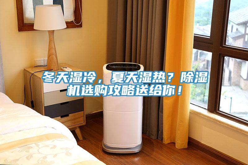 冬天濕冷，夏天濕熱？除濕機選購攻略送給你！