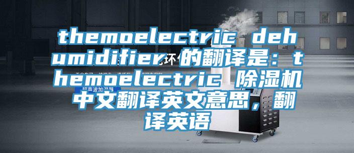 themoelectric dehumidifier 的翻譯是：themoelectric 除濕機 中文翻譯英文意思，翻譯英語