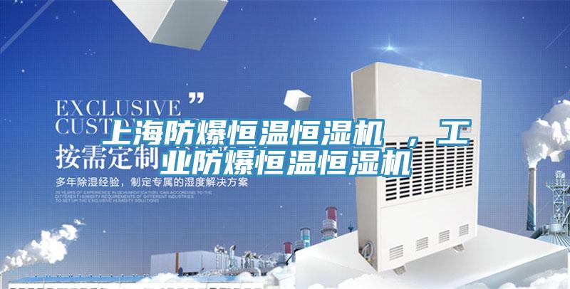 上海防爆恒溫恒濕機(jī) ，工業(yè)防爆恒溫恒濕機(jī)