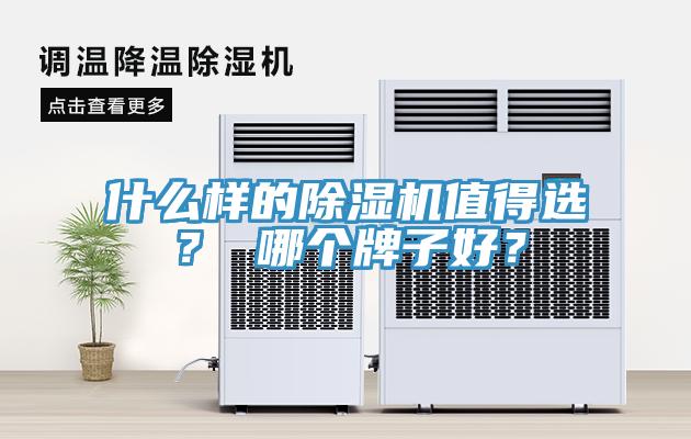 什么樣的除濕機值得選？ 哪個牌子好？