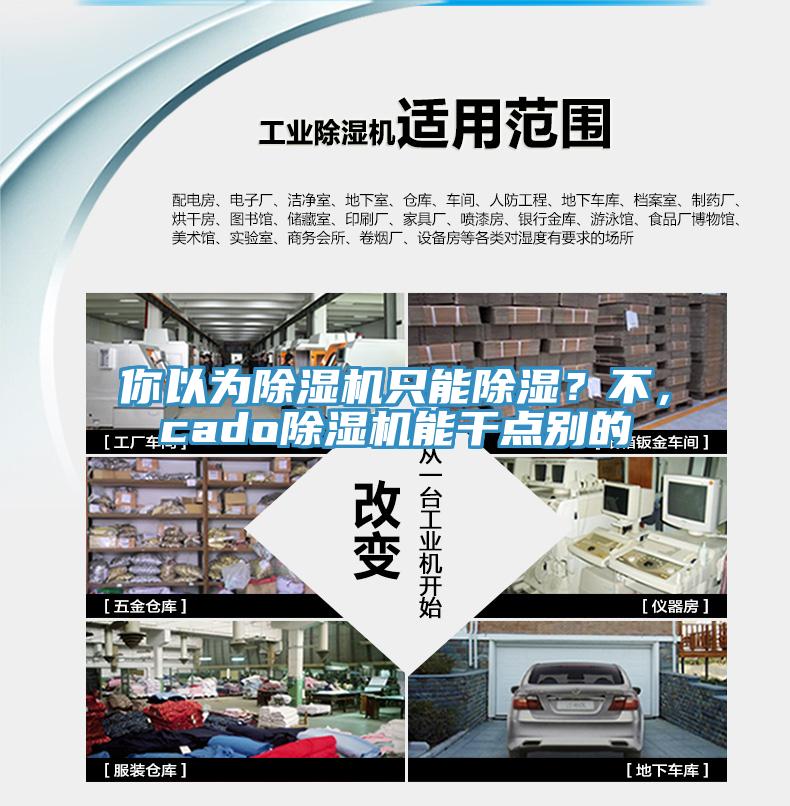 你以為除濕機(jī)只能除濕？不，cado除濕機(jī)能干點(diǎn)別的