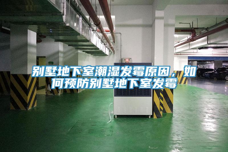 別墅地下室潮濕發霉原因，如何預防別墅地下室發霉