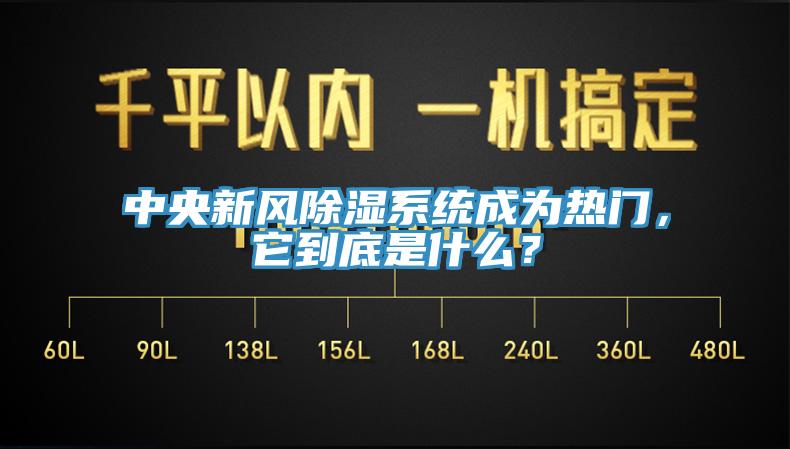 中央新風除濕系統(tǒng)成為熱門，它到底是什么？