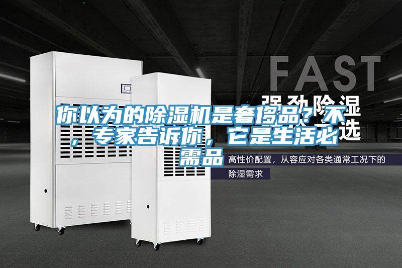 你以為的除濕機(jī)是奢侈品？不，專家告訴你，它是生活必需品