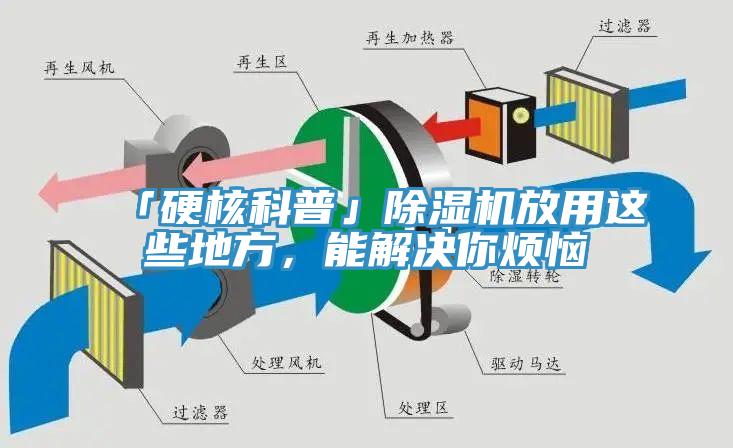 「硬核科普」除濕機放用這些地方，能解決你煩惱