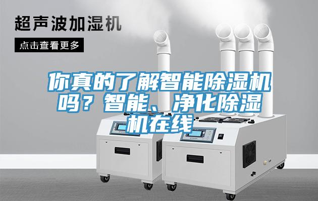 你真的了解智能除濕機嗎？智能、凈化除濕機在線