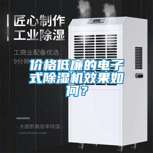 價格低廉的電子式除濕機效果如何？
