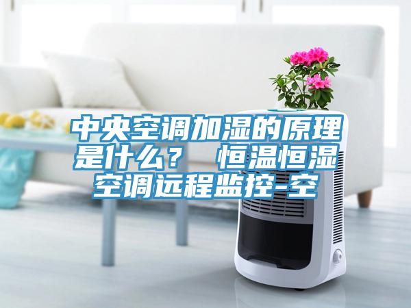 中央空調加濕的原理是什么？ 恒溫恒濕空調遠程監控-空