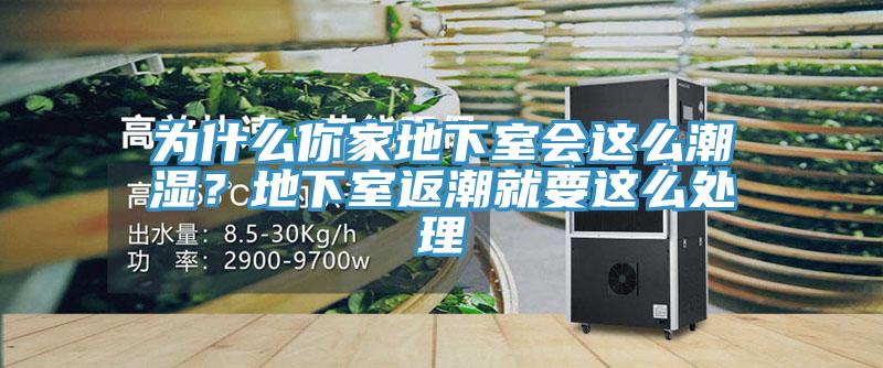 為什么你家地下室會這么潮濕？地下室返潮就要這么處理
