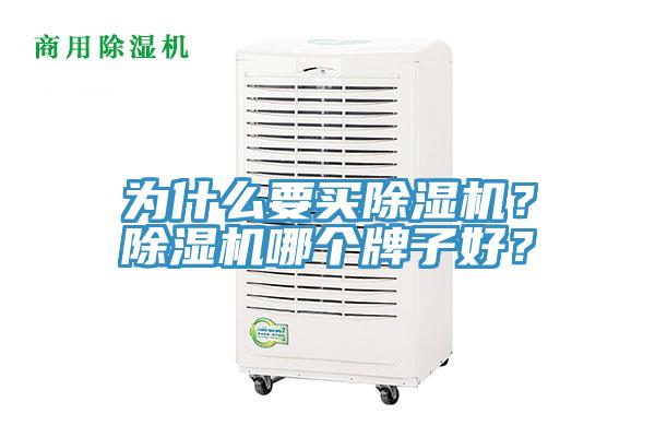 為什么要買除濕機(jī)？除濕機(jī)哪個牌子好？