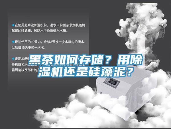 黑茶如何存儲？用除濕機還是硅藻泥？