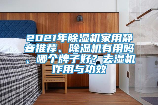 2021年除濕機家用靜音推薦、除濕機有用嗎、哪個牌子好？去濕機作用與功效