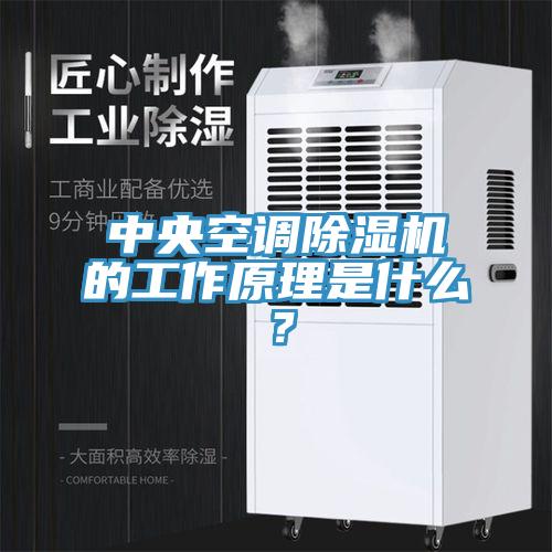 中央空調(diào)除濕機的工作原理是什么？