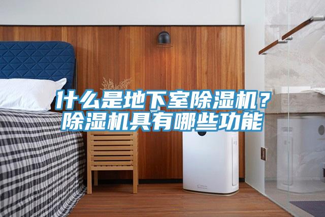 什么是地下室除濕機？除濕機具有哪些功能