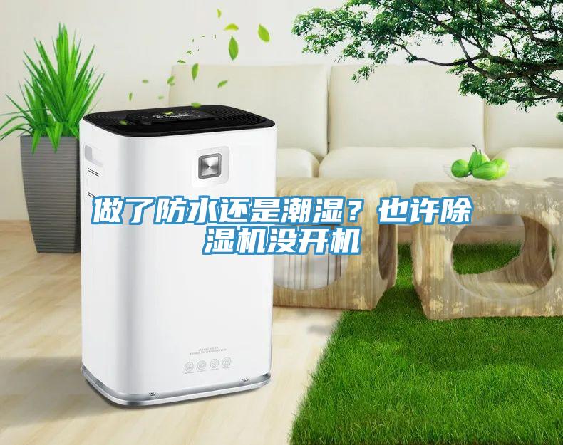 做了防水還是潮濕？也許除濕機沒開機