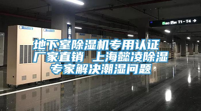 地下室除濕機(jī)專用認(rèn)證 廠家直銷 上海懿凌除濕專家解決潮濕問題