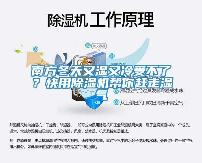 南方冬天又濕又冷受不了？快用除濕機幫你趕走濕氣