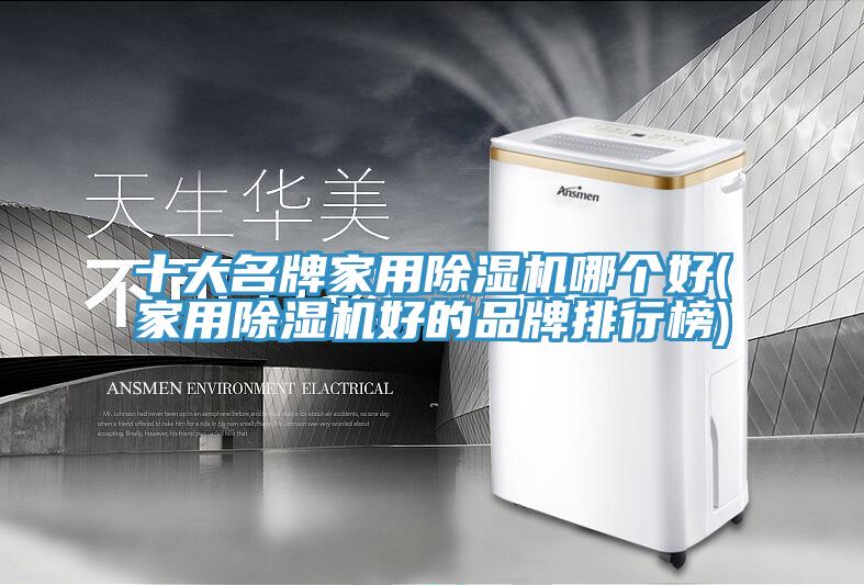 十大名牌家用除濕機(jī)哪個好(家用除濕機(jī)好的品牌排行榜)