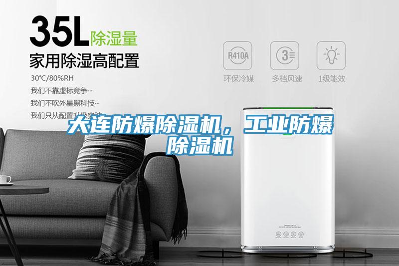 大連防爆除濕機，工業防爆除濕機