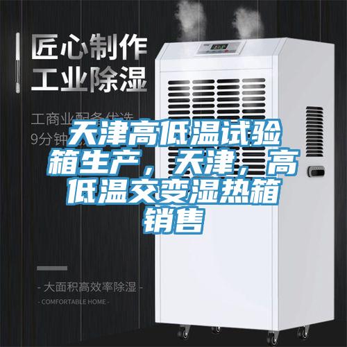 天津高低溫試驗(yàn)箱生產(chǎn)，天津，高低溫交變濕熱箱銷售