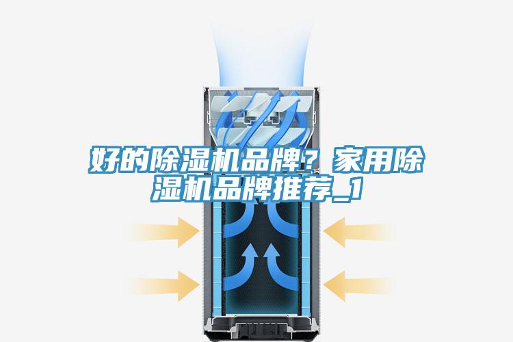 好的除濕機(jī)品牌？家用除濕機(jī)品牌推薦_1