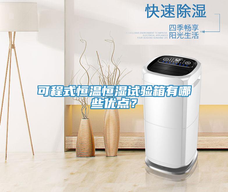 可程式恒溫恒濕試驗箱有哪些優點？