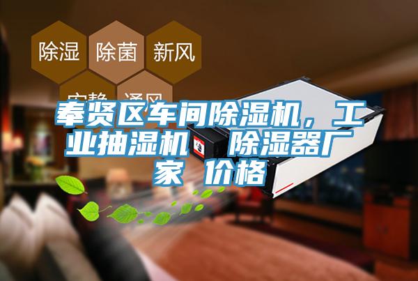 奉賢區(qū)車間除濕機(jī)，工業(yè)抽濕機(jī)  除濕器廠家 價(jià)格