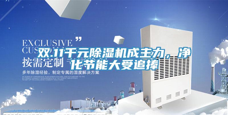 雙.11千元除濕機成主力，凈化節能大受追捧