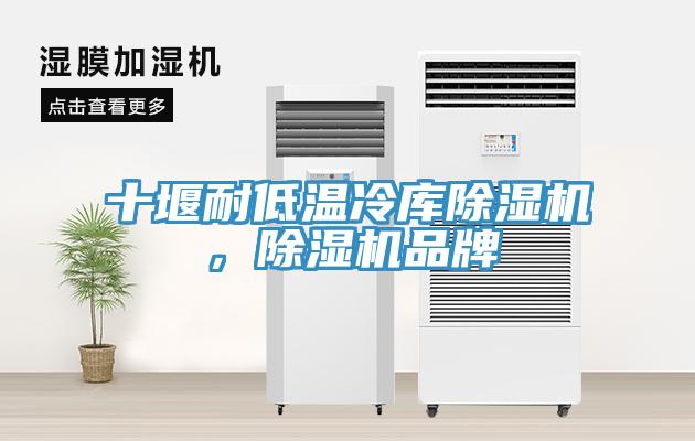 十堰耐低溫冷庫除濕機(jī)，除濕機(jī)品牌