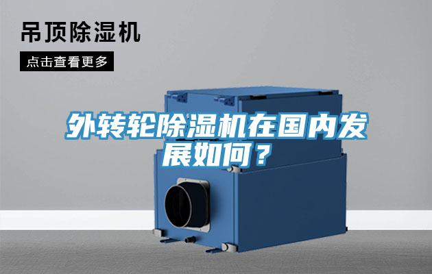 外轉輪除濕機在國內發展如何？