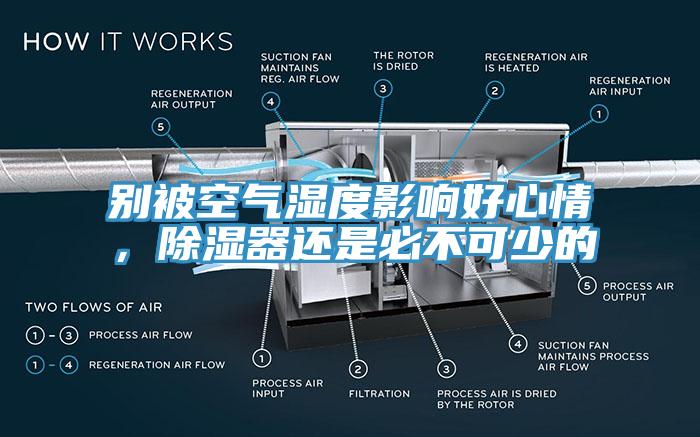 別被空氣濕度影響好心情，除濕器還是必不可少的