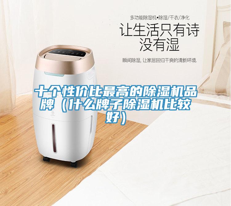 十個性價比最高的除濕機(jī)品牌（什么牌子除濕機(jī)比較好）