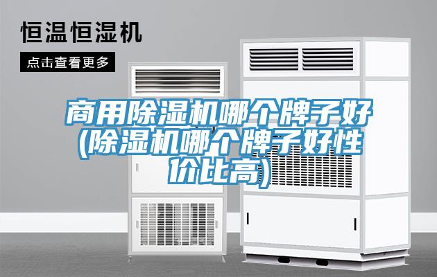 商用除濕機(jī)哪個牌子好(除濕機(jī)哪個牌子好性價(jià)比高)