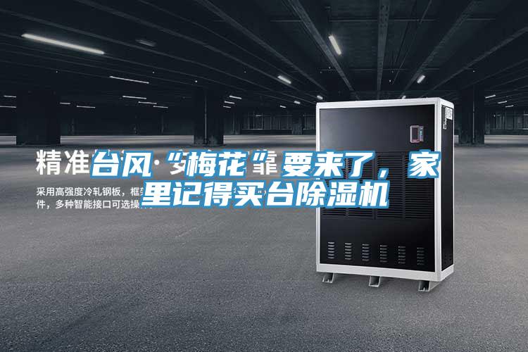 臺(tái)風(fēng)“梅花”要來(lái)了，家里記得買臺(tái)除濕機(jī)