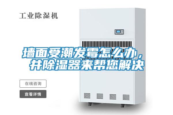 墻面受潮發霉怎么辦，東井除濕器來幫您解決
