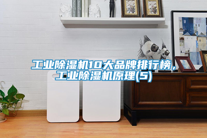 工業除濕機10大品牌排行榜，工業除濕機原理(5)